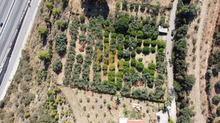 Οικόπεδο 4.000 τ.μ. για πώληση, Αχαΐα, Αιγιάλεια-thumb-19