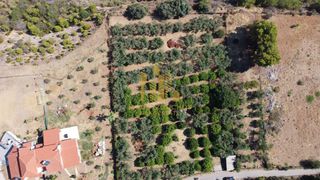 Οικόπεδο 4.000 τ.μ. για πώληση, Αχαΐα, Αιγιάλεια-thumb-4