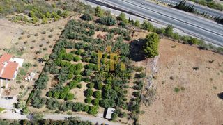 Οικόπεδο 4.000 τ.μ. για πώληση, Αχαΐα, Αιγιάλεια-thumb-16
