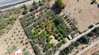 Οικόπεδο 4.000 τ.μ. για πώληση, Αχαΐα, Αιγιάλεια-thumb-14