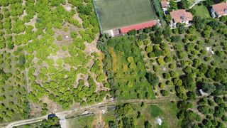 Οικόπεδο 1.000 τ.μ. για πώληση, Αχαΐα, Αίγιο-thumb-9