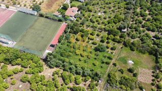 Οικόπεδο 1.000 τ.μ. για πώληση, Αχαΐα, Αίγιο-thumb-3