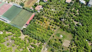 Οικόπεδο 1.000 τ.μ. για πώληση, Αχαΐα, Αίγιο-thumb-7