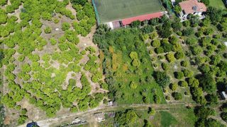 Οικόπεδο 1.000 τ.μ. για πώληση, Αχαΐα, Αίγιο-thumb-10
