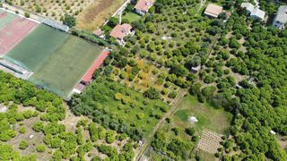Οικόπεδο 1.000 τ.μ. για πώληση, Αχαΐα, Αίγιο-thumb-8