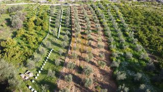 Αγροτεμάχια 4.300 τ.μ. για πώληση, Αχαΐα, Αιγιάλεια-thumb-4