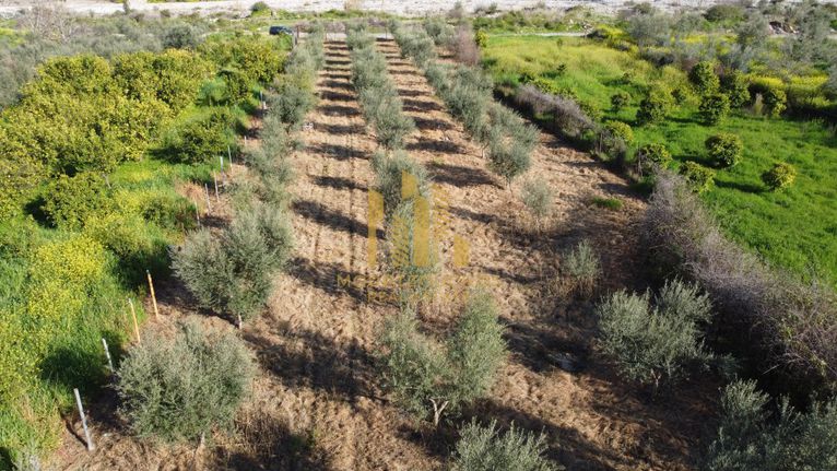 Αγροτεμάχια 4.300 τ.μ. για πώληση, Αχαΐα, Αιγιάλεια