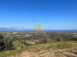 Οικόπεδο 5.500 τ.μ. για πώληση, Αχαΐα, Διακοπτό-thumb-11