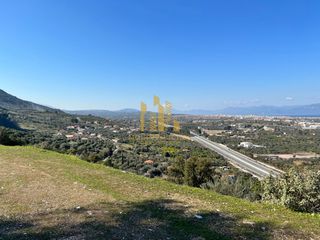Οικόπεδο 5.500 τ.μ. για πώληση, Αχαΐα, Διακοπτό-thumb-8