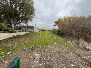Οικόπεδο 964 τ.μ. για πώληση, Αχαΐα, Αίγιο-thumb-4