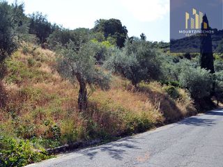 Οικόπεδο 4.223 τ.μ. για πώληση, Αχαΐα, Αίγιο-thumb-11