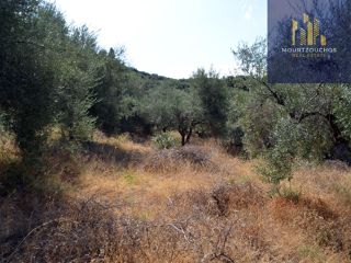 Οικόπεδο 4.223 τ.μ. για πώληση, Αχαΐα, Αίγιο-thumb-8