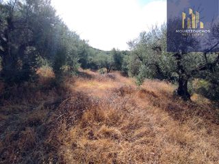 Οικόπεδο 4.223 τ.μ. για πώληση, Αχαΐα, Αίγιο-thumb-6