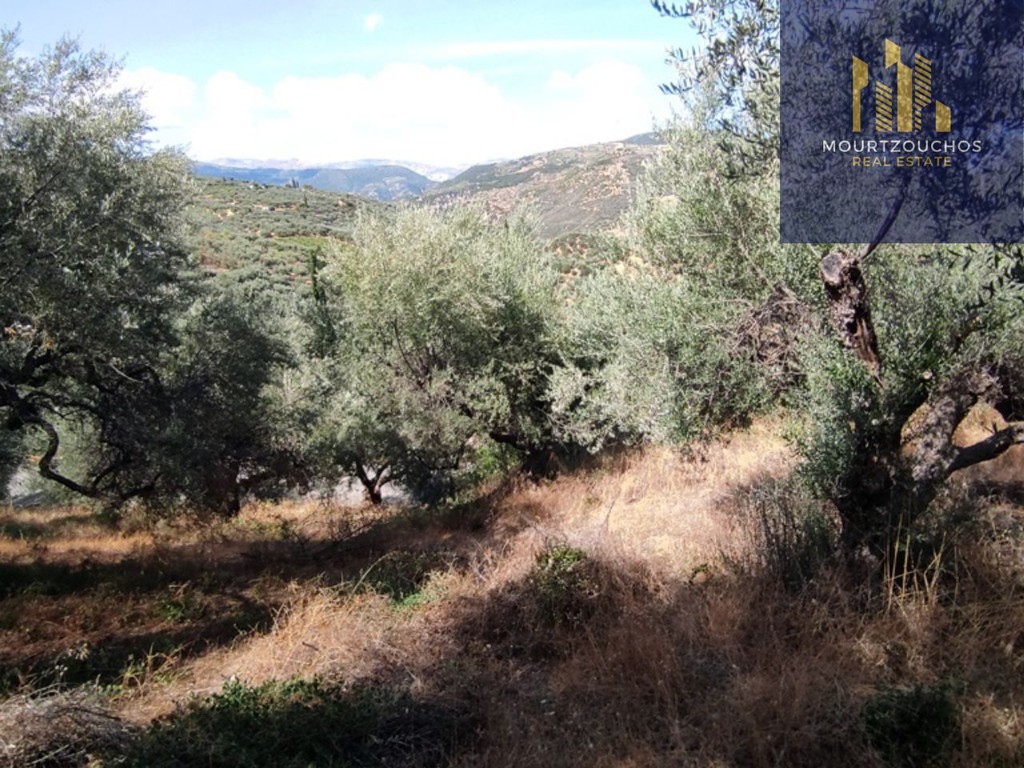 Οικόπεδο 4.223 τ.μ. προς πώληση, Αχαΐα, Αίγιο