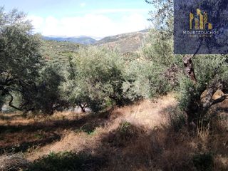 Οικόπεδο 4.223 τ.μ. για πώληση, Αχαΐα, Αίγιο-thumb-2