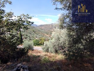 Οικόπεδο 4.223 τ.μ. για πώληση, Αχαΐα, Αίγιο-thumb-1