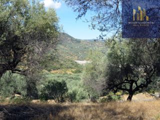 Οικόπεδο 4.223 τ.μ. για πώληση, Αχαΐα, Αίγιο-thumb-7