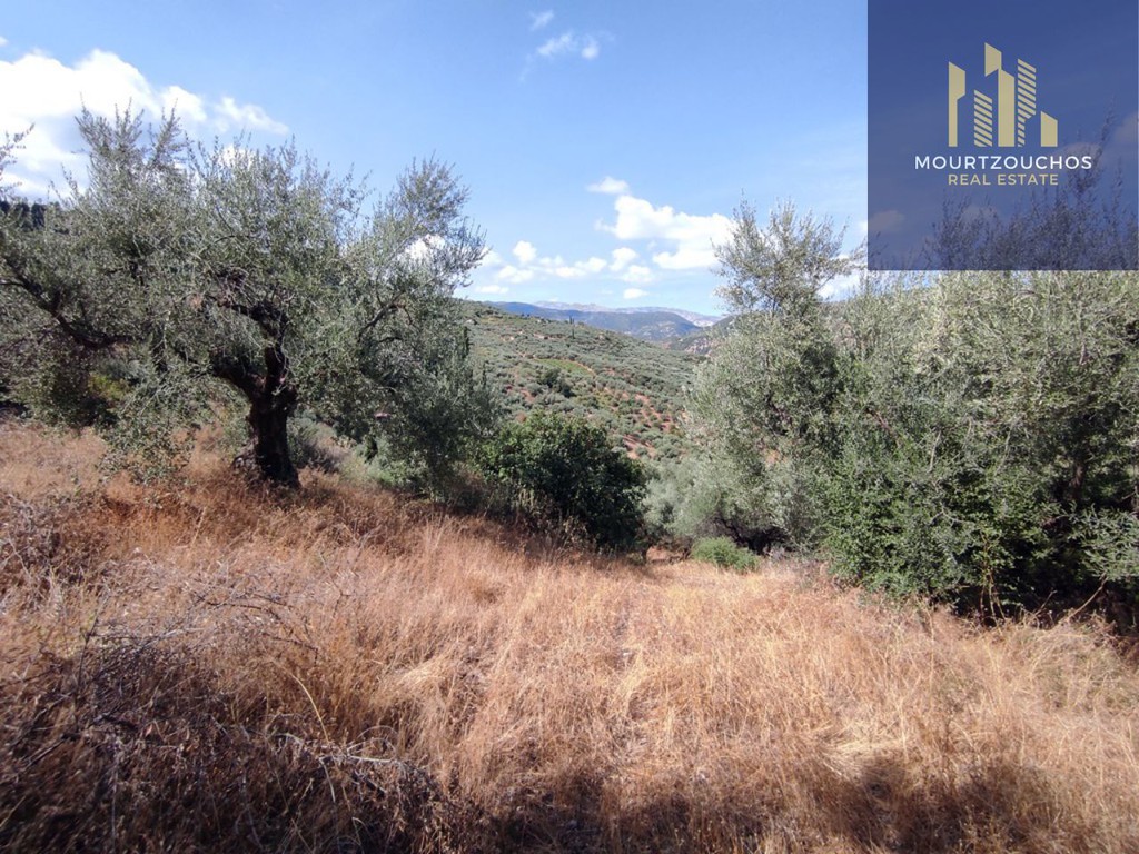 Οικόπεδο 4.223 τ.μ. προς πώληση, Αχαΐα, Αίγιο