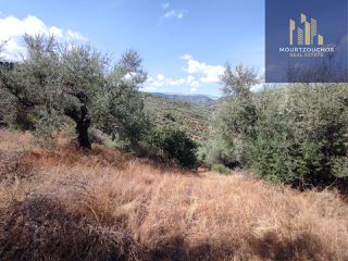 Οικόπεδο 4.223 τ.μ. για πώληση, Αχαΐα, Αίγιο-thumb-4