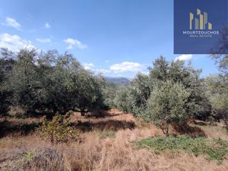 Οικόπεδο 4.223 τ.μ. για πώληση, Αχαΐα, Αίγιο-thumb-3