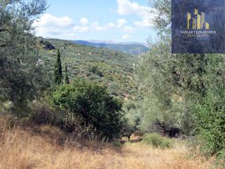 Οικόπεδο 4.223 τ.μ. για πώληση, Αχαΐα, Αίγιο-thumb-9