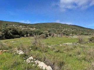 Αγροτεμάχια 5.854 τ.μ. πρός πώληση, Ν. Λευκάδας, Λευκάδα-thumb-7