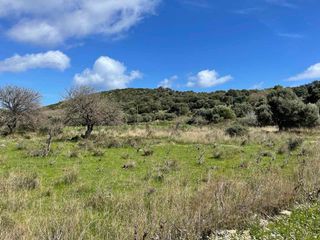 Αγροτεμάχια 5.854 τ.μ. πρός πώληση, Ν. Λευκάδας, Λευκάδα-thumb-5