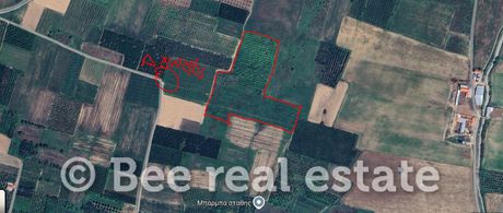 Parcel 35.000sqm for sale-Ampelonas » Deleria