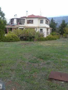 Μονοκατοικία 509τ.μ. για πώληση-Λουτράκι-περαχώρα » Κτενά