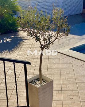 Ξενοδοχείο 615τ.μ. για πώληση-Κασσάνδρα » Καλλιθέα