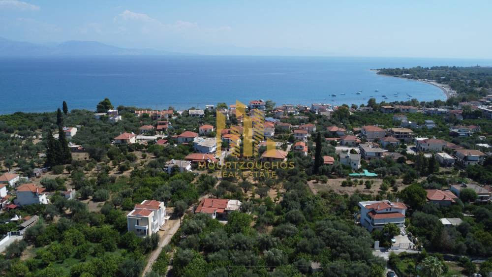 Μονοκατοικία 150 τ.μ. προς πώληση, Ελαιώνας Διακοπτού