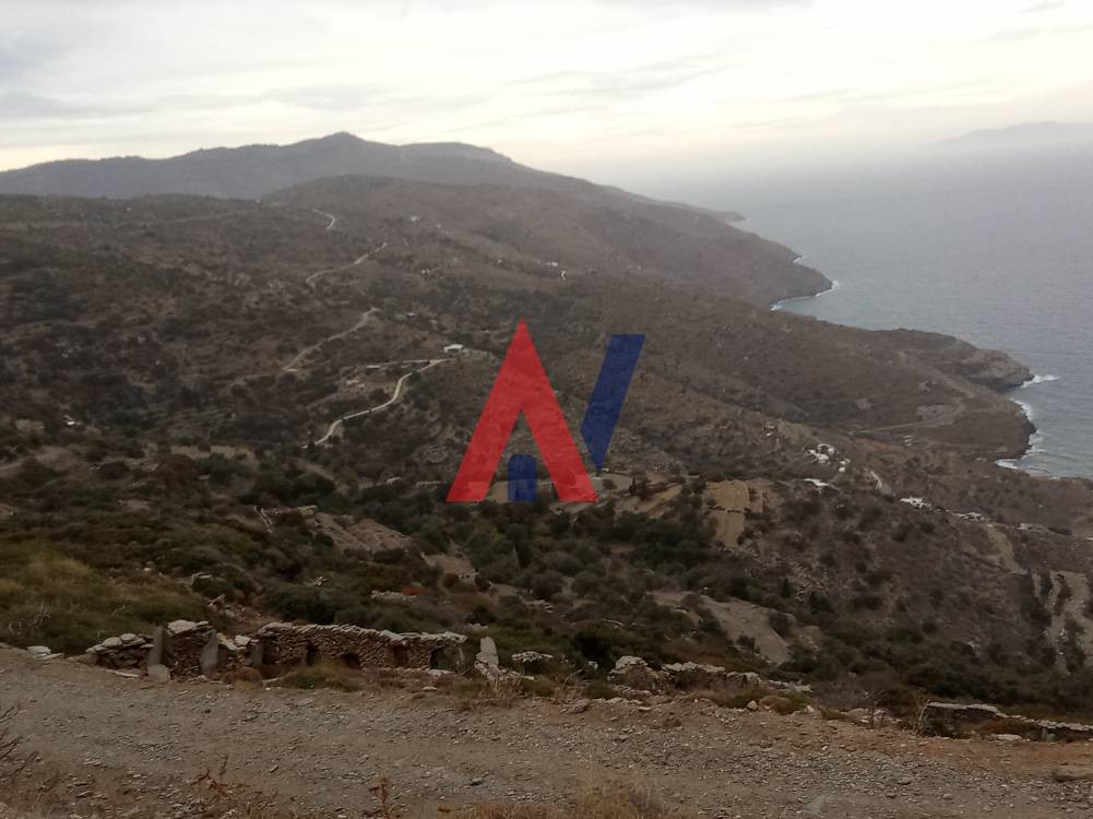 Οικόπεδο 17.000 τ.μ. προς πώληση, Χώρα Άνδρου