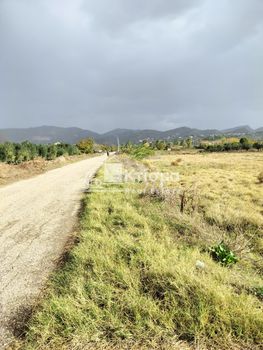 Οικόπεδο 4.129 τ.μ. για πώληση