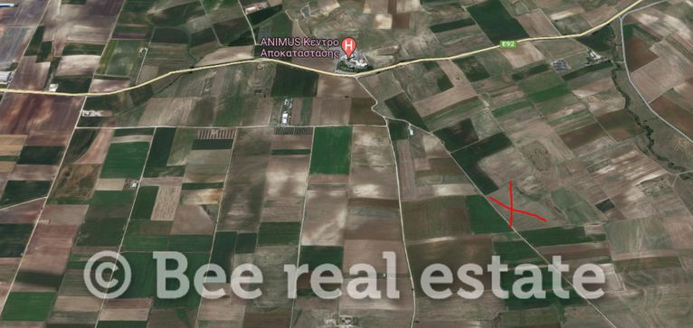 Αγροτεμάχια 32.600 τ.μ. για πώληση, Ν. Λάρισας, Κοιλάδα