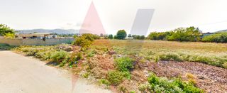 Αγροτεμάχια 1.744 τ.μ. για πώληση
