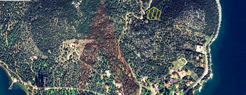 Αγροτεμάχια 4.533 τ.μ. πρός πώληση, Μαγνησία, Σούρπη