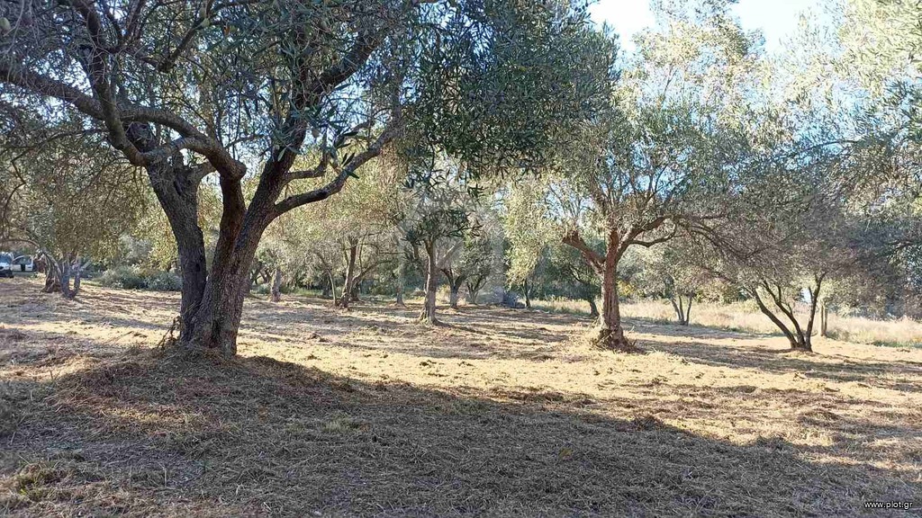Αγροτεμάχια 2.200 τ.μ. προς πώληση, Κουμίτσα