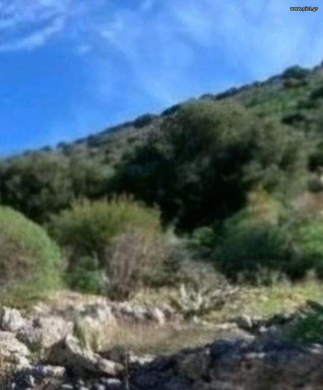 Οικόπεδο 42.000 τ.μ. προς πώληση, Λεύκες Κύθνου