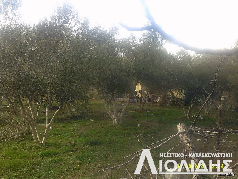 Parcel 2.972 sqm for sale, Thessaloniki - Suburbs, Migdonia