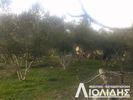 Parcel 2.972sqm for sale-Migdonia » Liti