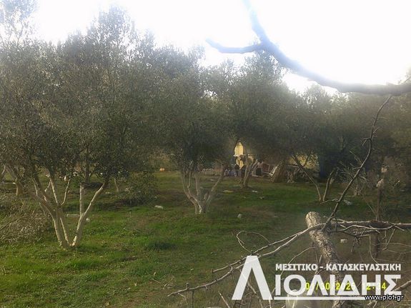 Αγροτεμάχια 2.972 τ.μ. για πώληση, Θεσσαλονίκη - Περιφ/Κοί Δήμοι, Μυγδονία