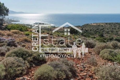 Αγροτεμάχια 8.600τ.μ. για πώληση-Βραχάσι » Επάνω σίσι