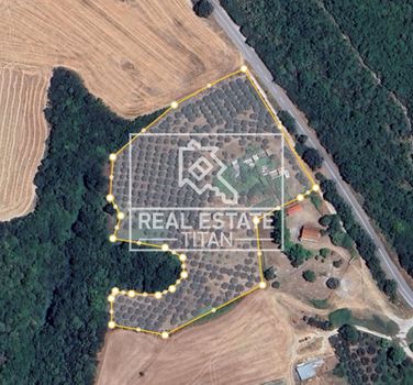Αγροτεμάχια 15.000τ.μ. για πώληση-Ελαφίνα » Παλαιό κεραμίδι