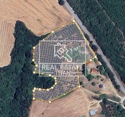 Αγροτεμάχια 15.000 τ.μ. για πώληση