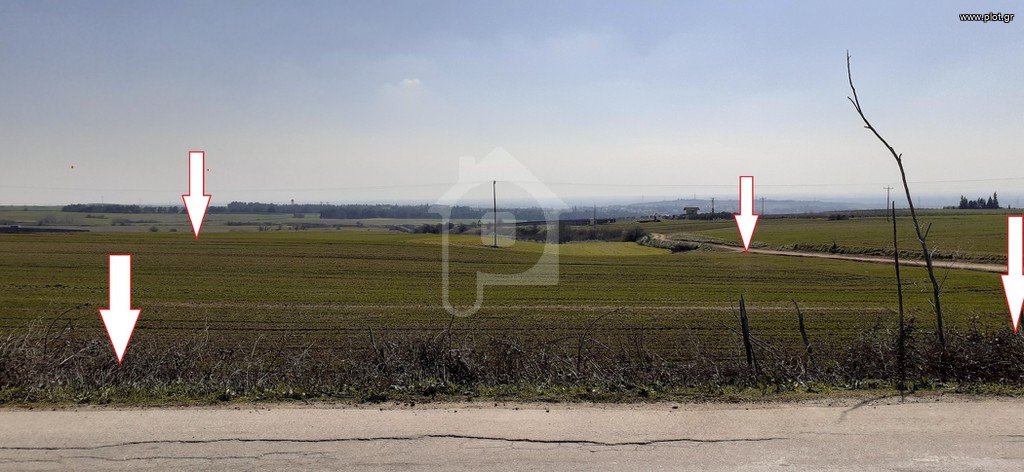 Αγροτεμάχια 6.500 τ.μ. πρός πώληση, Ν. Κιλκίς, Πικρολίμνη