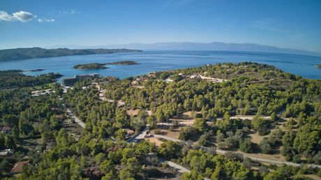 Αγροτεμάχια 4.006 τ.μ. για πώληση