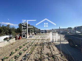 Αγροτεμάχια 2.709 τ.μ. για πώληση, Ν. Λασιθίου, Ιεράπετρα-thumb-4