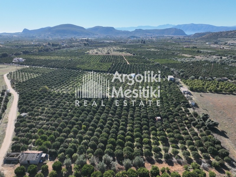 Αγροτεμάχια 8.564 τ.μ. προς πώληση, Άγιος Αδριανός
