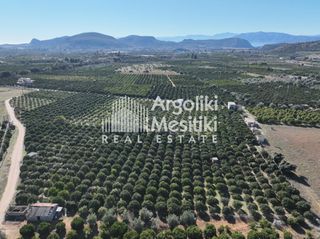 Αγροτεμάχια 8.564 τ.μ. για πώληση, Αργολίδα, Νέα Τίρυνθα-thumb-1