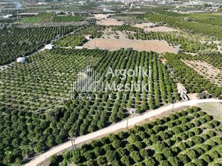 Αγροτεμάχια 8.564 τ.μ. για πώληση, Αργολίδα, Νέα Τίρυνθα-thumb-17